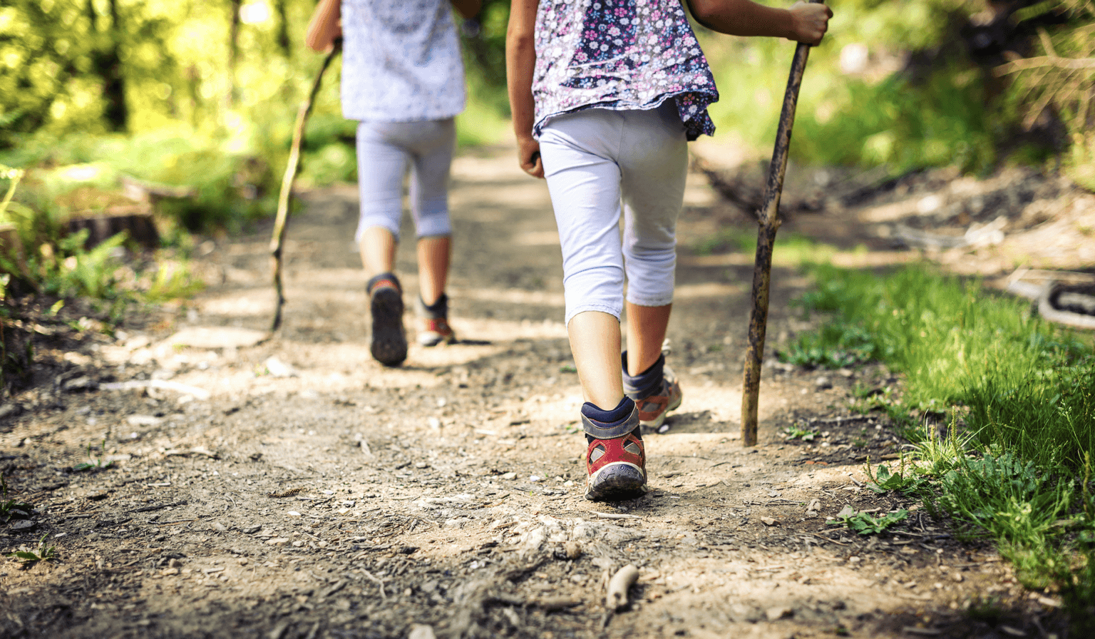 Children can reunite with grandparents for socially distanced walks from today