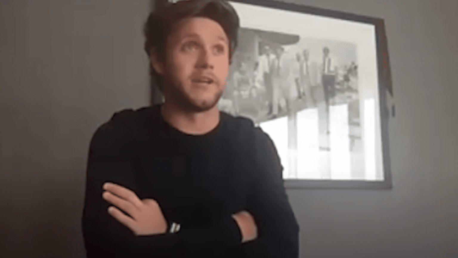 Niall Horan thinks Dustin the Turkey is our ‘national treasure’