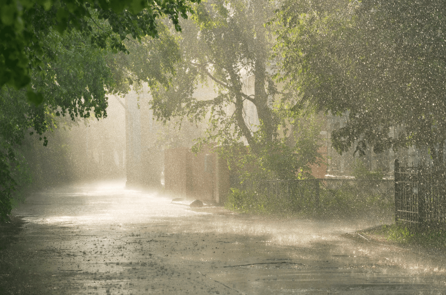 It is going to be very warm and very rainy all week