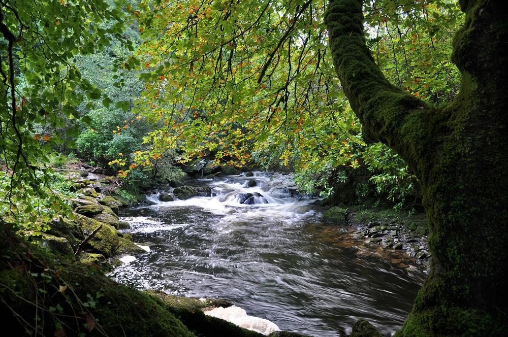 Five of the best spots in Ireland for a wild camping trip this summer