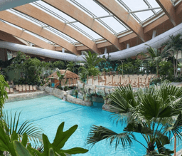 Center Parcs Ireland is celebrating one year in business