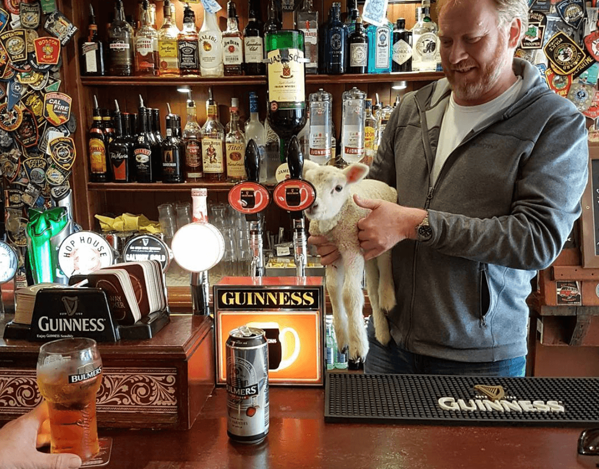 One of our favourite Galway pubs is back open