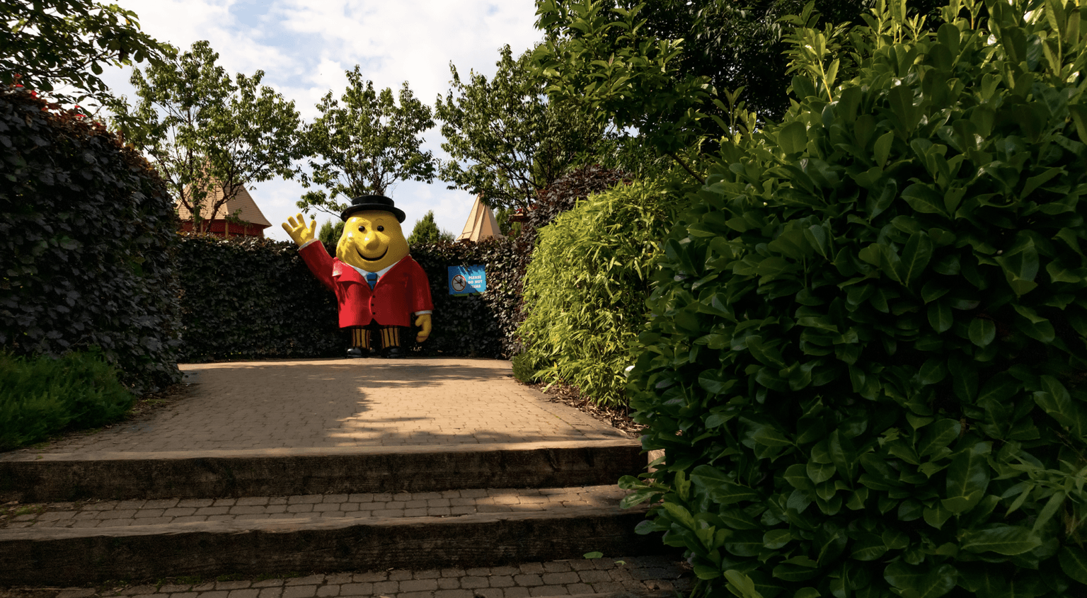 Leaving Cert students can get half-price tickets to Tayto Park this week 