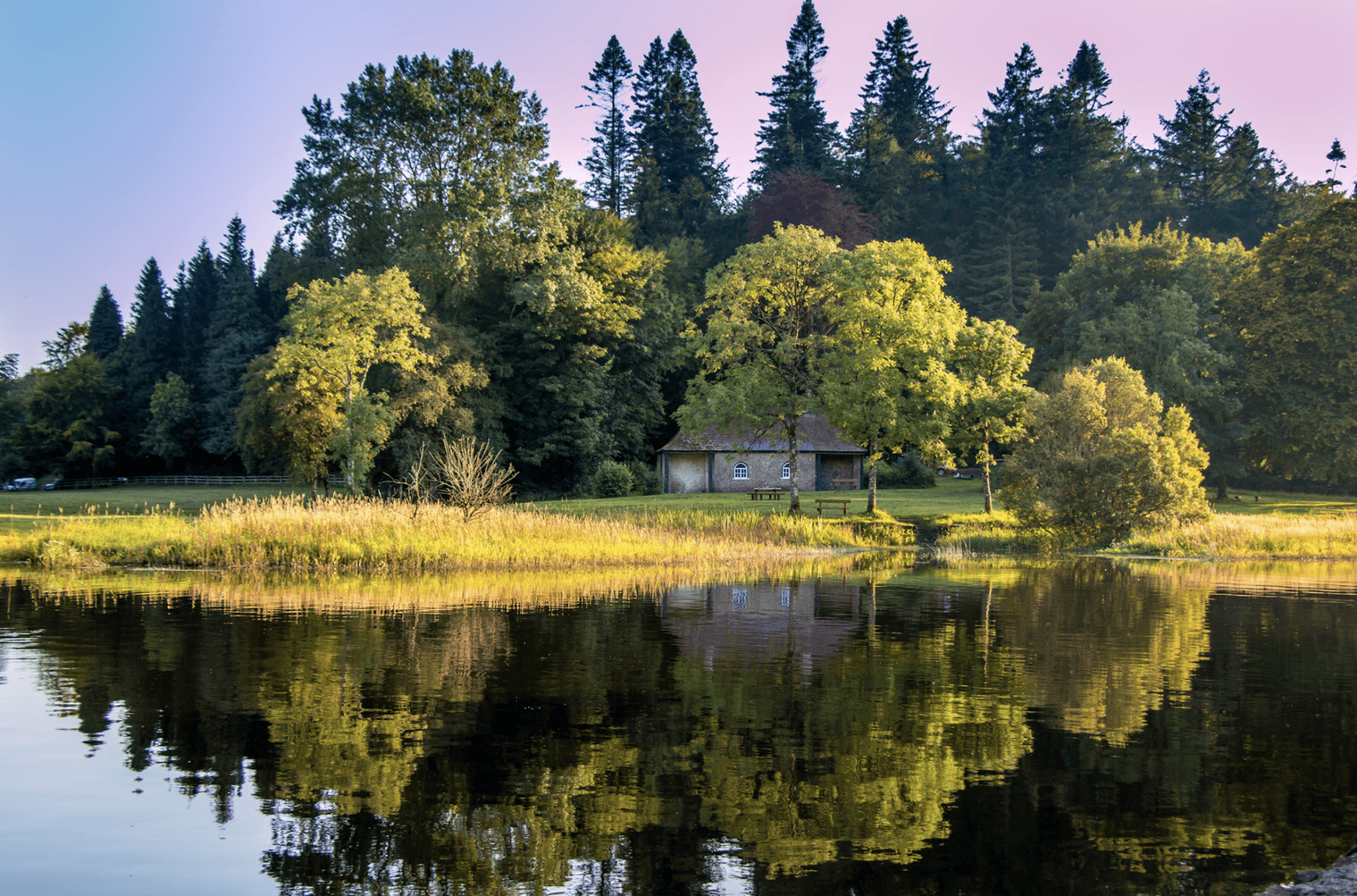 People are celebrating their ‘Cavanness’ in honour of the first-ever global ‘Cavan Day”