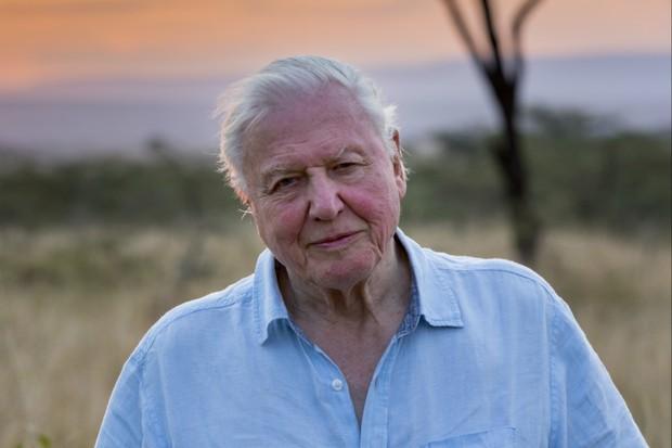 David Attenborough’s brand new documentary is coming to Irish cinemas for one night only