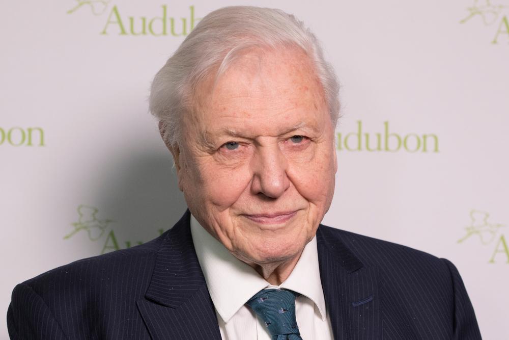 David Attenborough has just joined Instagram so prepare to be blessed