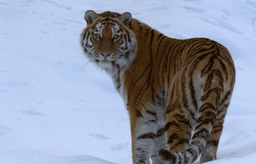 Here’s what’s new on Netflix for your rainy Sunday at home