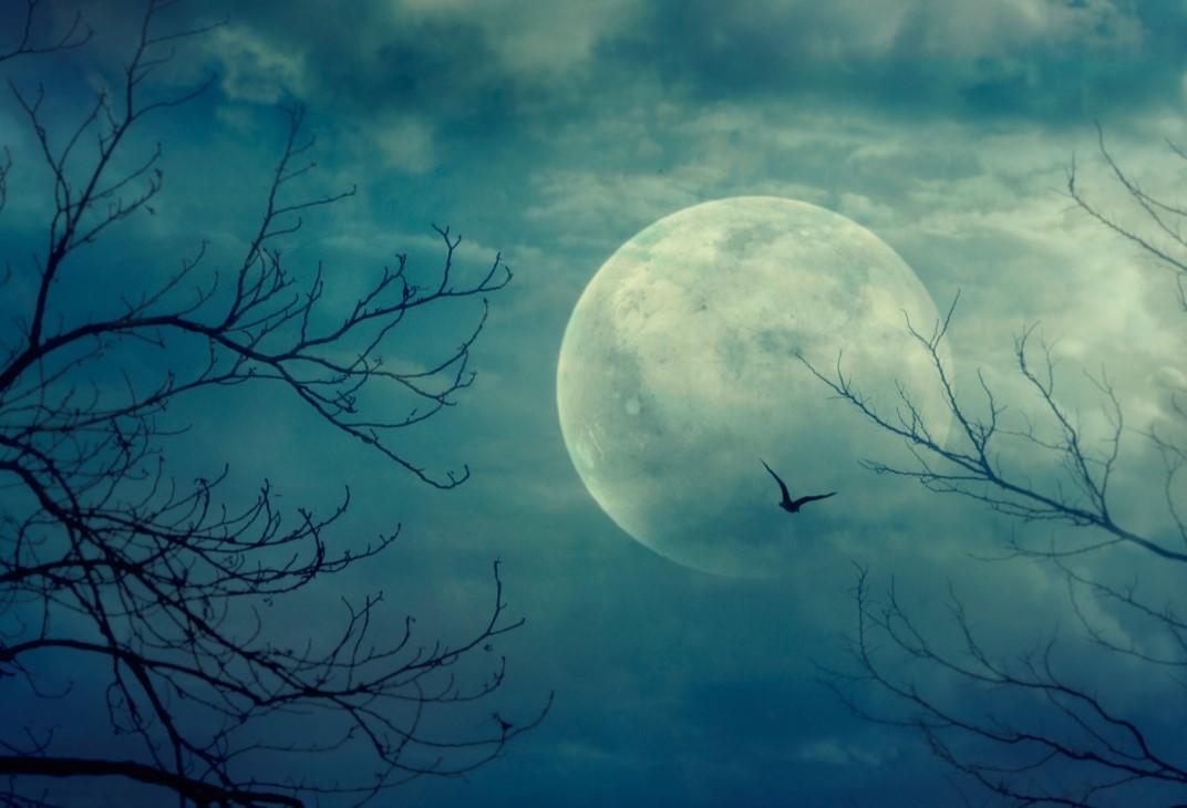 A rare blue moon will be visible across Ireland tomorrow night