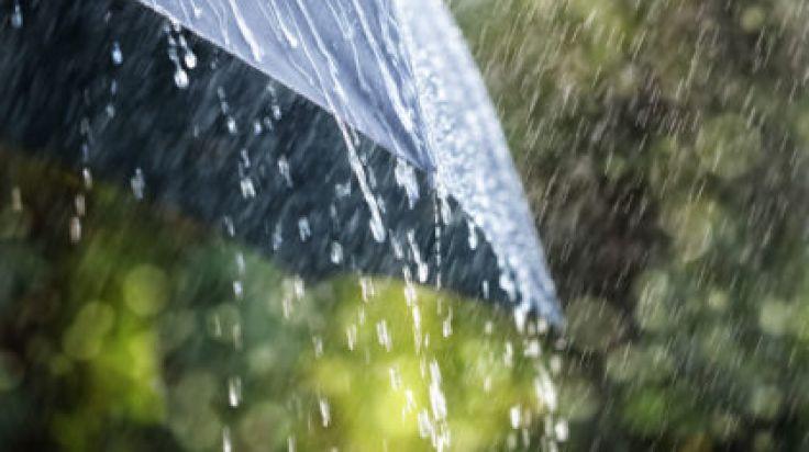 Status yellow rain warning issued to five counties