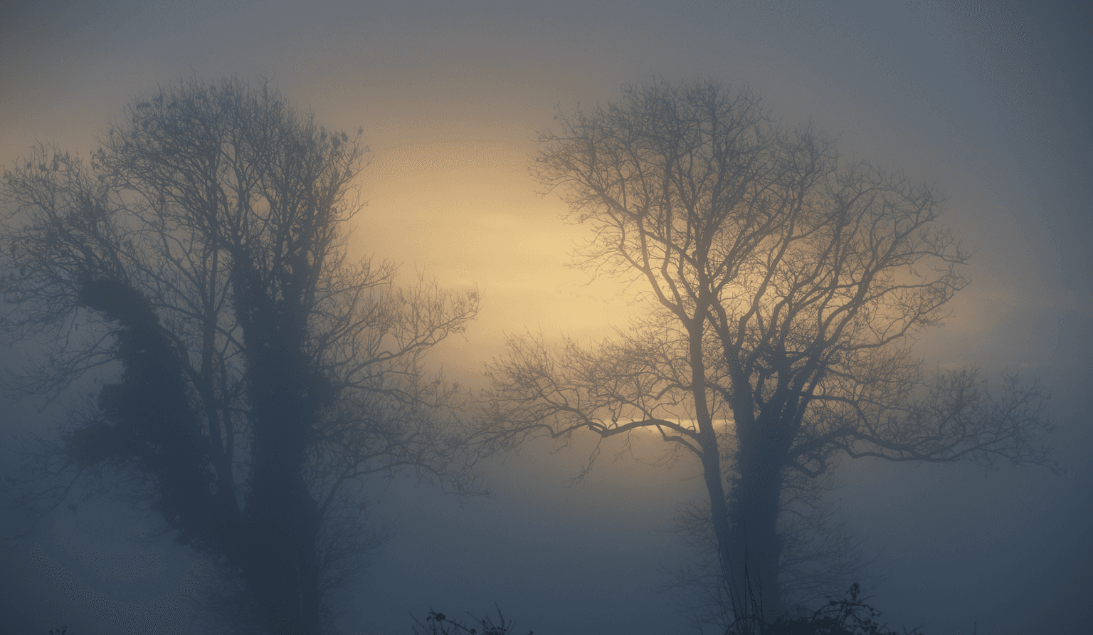 Status Yellow Fog Warning issued for much of the country