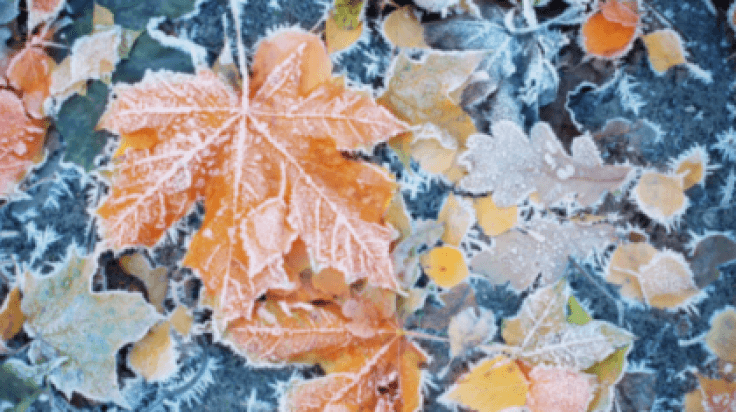 Winter will finally arrive this week as temperatures drop to freezing point