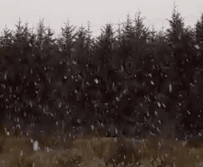 WATCH: It’s already snowing in parts of Ireland