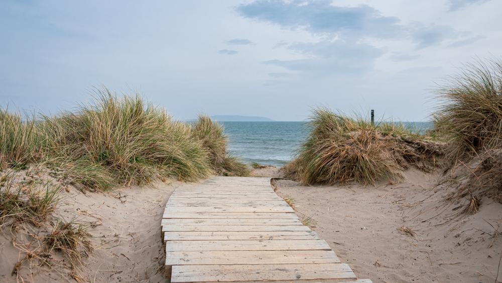 It looks like we’ll be getting out for our New Year’s Day walk with “bright sunny spells”