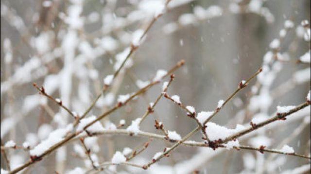 Snow and ice warning issued to six counties ahead of week of very unsettled weather