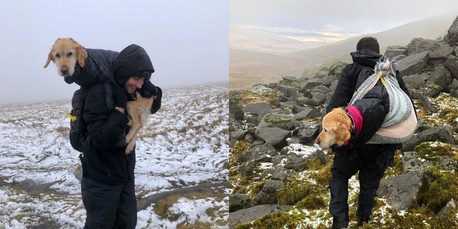 WATCH: Local hikers rescue injured pup stranded up Wicklow Mountains for two whole weeks
