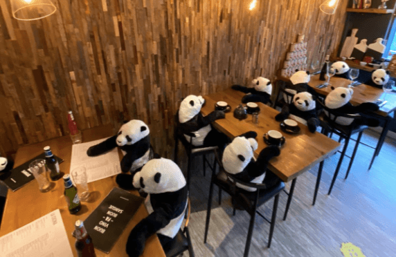 Irish restaurant fills tables with panda customers to put a bit of life back in the place