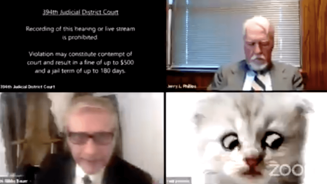“Make sure there’s no bad meme on your computer” – Viral cat lawyer speaks out on hilarious video