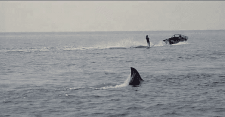 The nine best movies on TV this cold Friday night