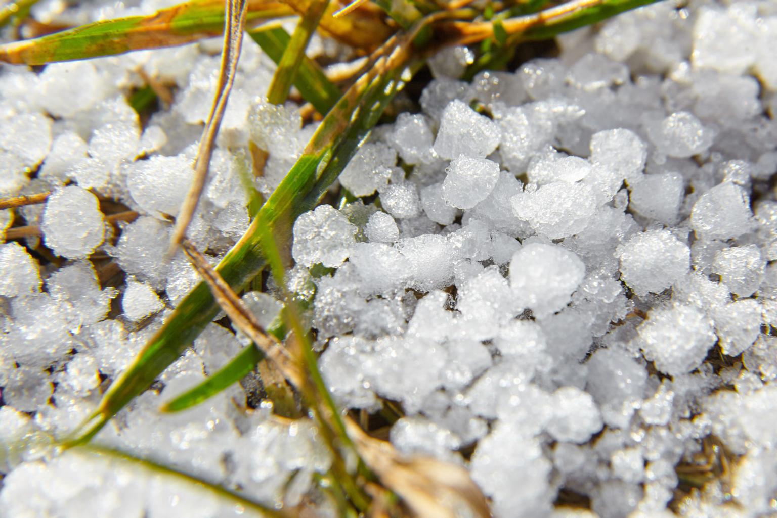What is graupel? Met Éireann explains ‘interesting type of frozen precipitation’ you might have seen today