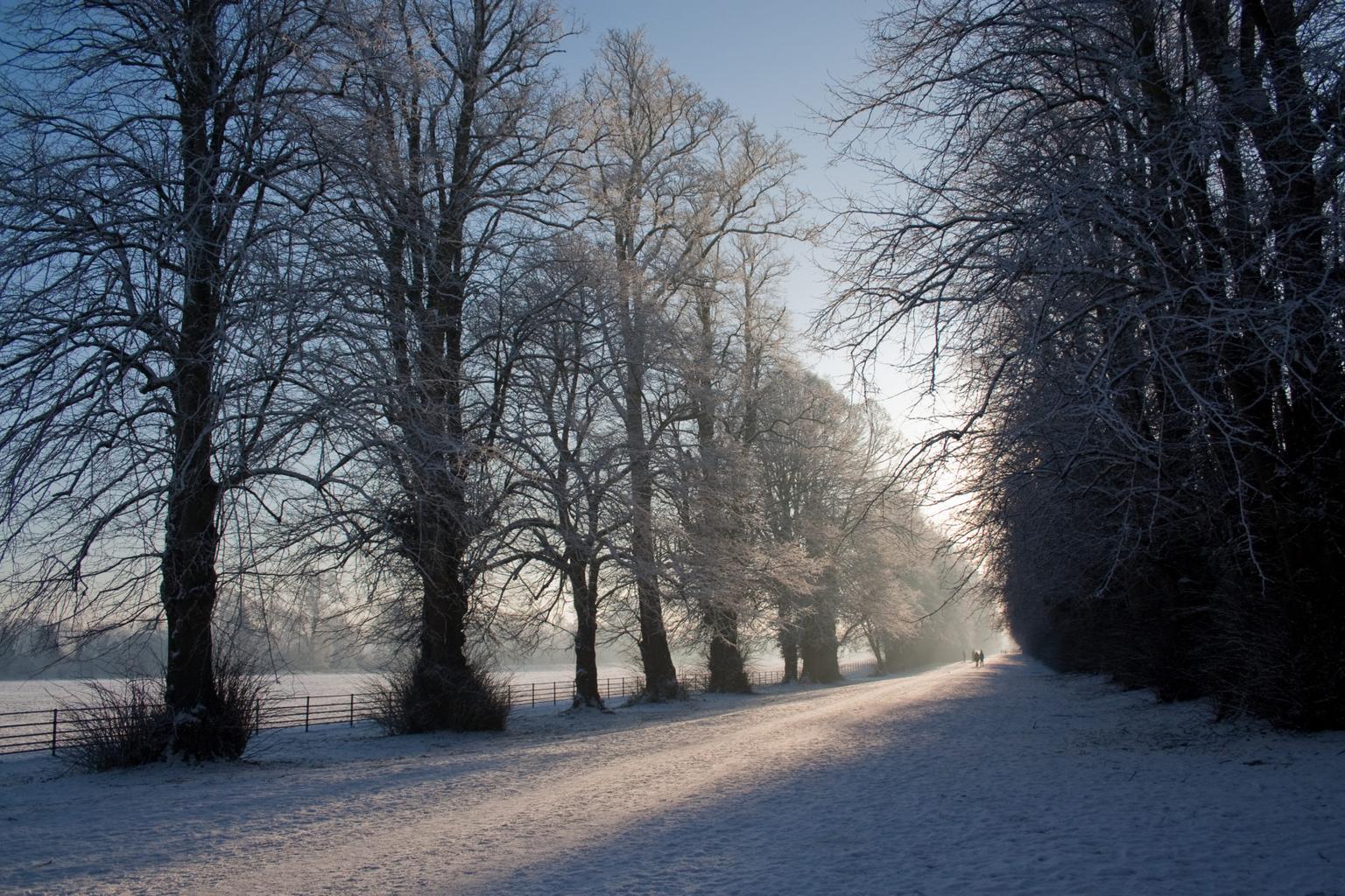 Office of Emergency Planning shares advice to the public ahead of ‘severe’ weather conditions 