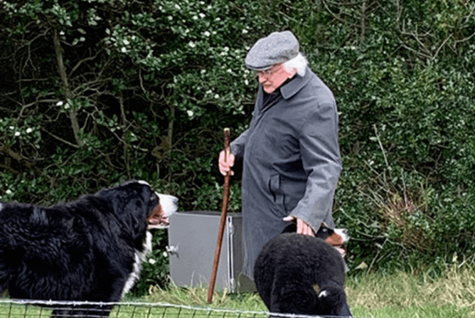 President Higgins has confirmed the name of his new dog