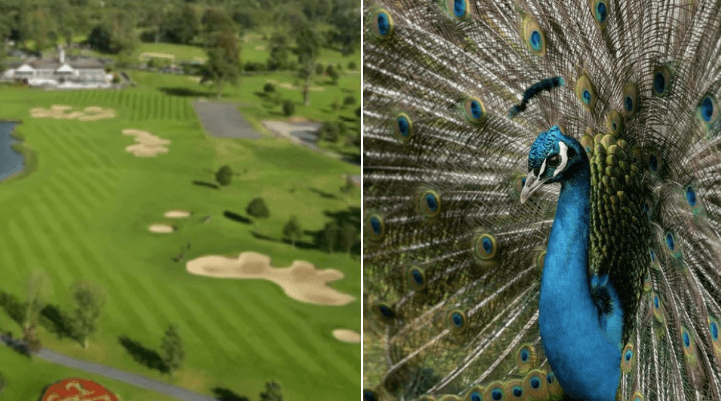 Eight outdoor activities you can do this week that weren’t permitted last week