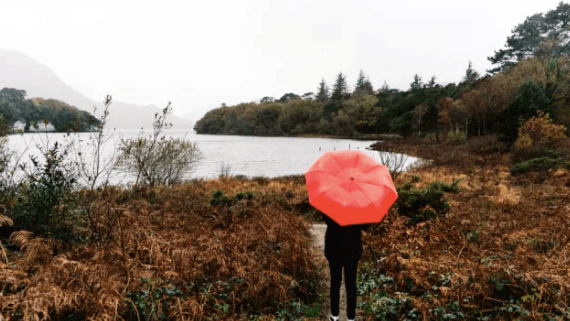 Father’s Day weather forecast – Bring a brolly with you if you’re heading out