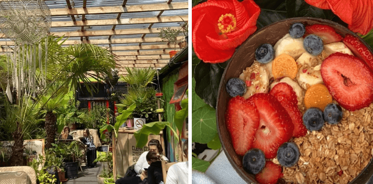Welcome to the jungle! Get yourself to this tropical brunch spot in Galway Welcome to the jungle! Get yourself to this tropical brunch spot in Galway
