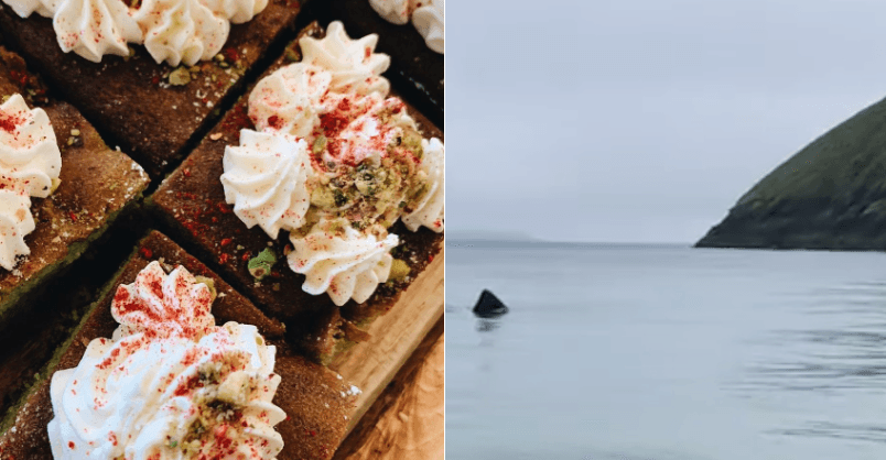 WATCH: Much loved Sligo cafe shares amazing footage of basking sharks!