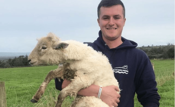 This Kerry farmer is an essential TikTok follow This Kerry farmer is an essential TikTok follow