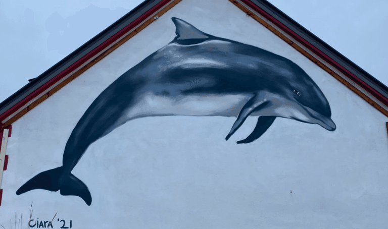 A Fungie mural was unveiled at the dolphin’s memorial service