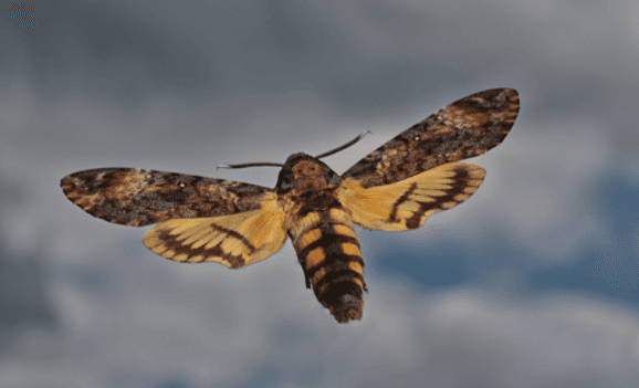 5 of the best horror book to movie adaptations