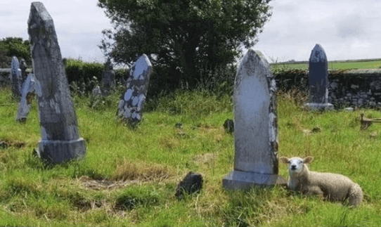 The “Very Irish Headlines” Insta page is a must follow