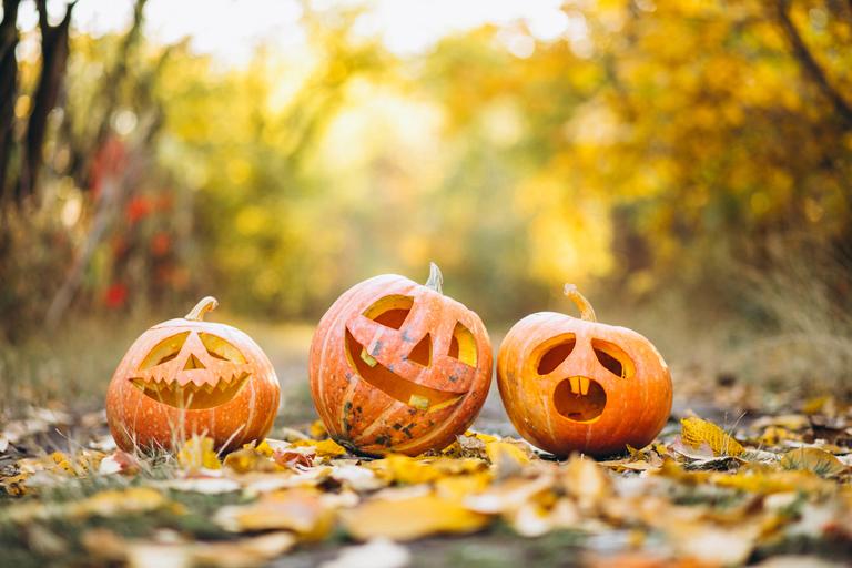 This Meath Café is holding a pumpkin carving competition