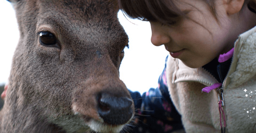 The SuperValu Christmas ad has landed
