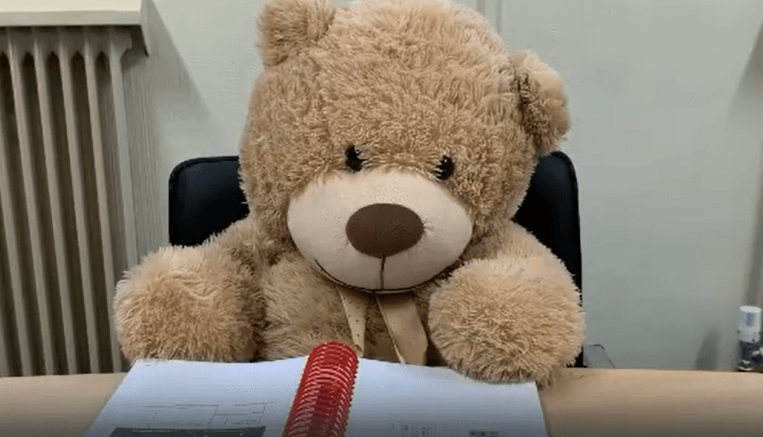 Bus Éireann take on Ted the bear as a staff member while they look for his owner