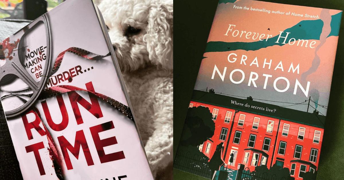 15 Irish novels to consider gifting the bookworm in your life this Christmas