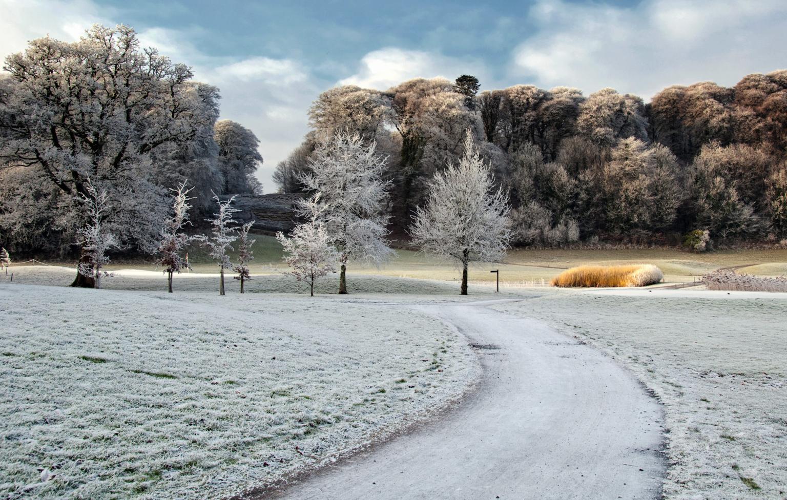 Wondering if you’re in for a White Christmas? These are Ireland’s snowiest counties