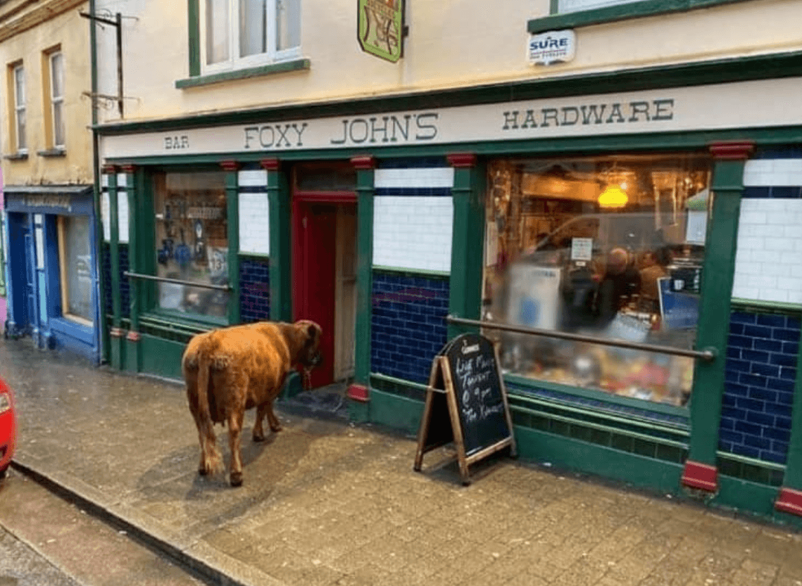 The top 6 pubs in Dingle, as voted for by you