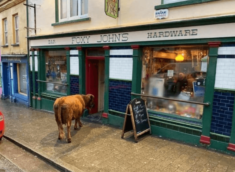 The top 6 pubs in Dingle, as voted for by you