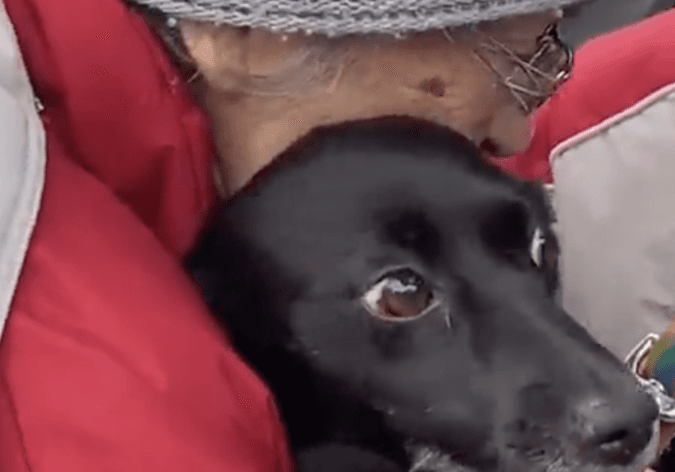 Elderly Ukrainian woman reunited with her dog after six-week-search