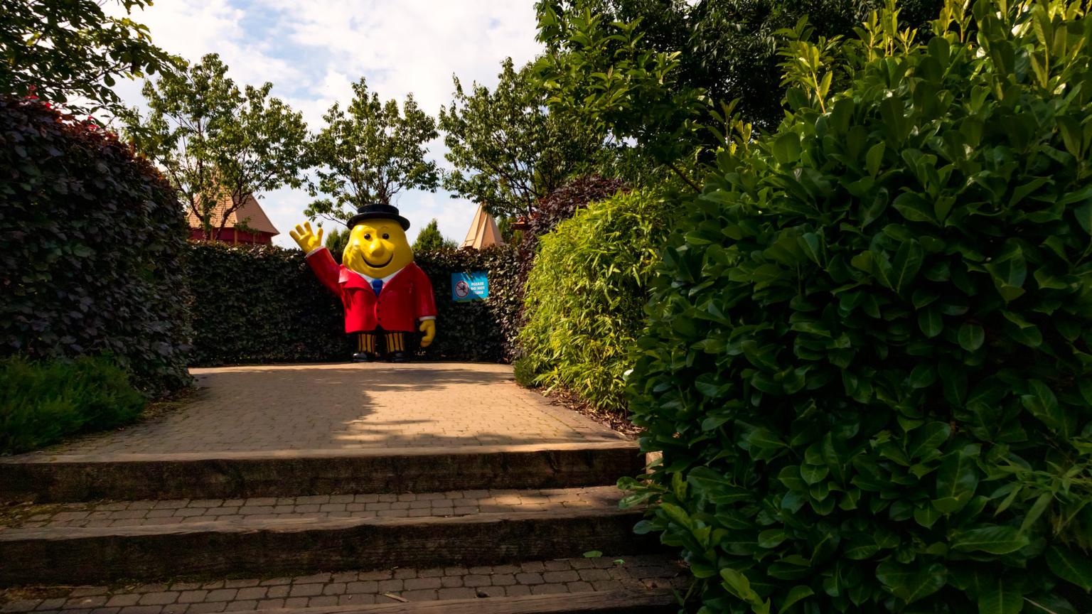 The sunflower oil shortage and what it could mean for Ireland’s favourite crisp