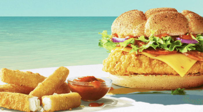 PSA McDonald’s new summer menu to contain halloumi fries