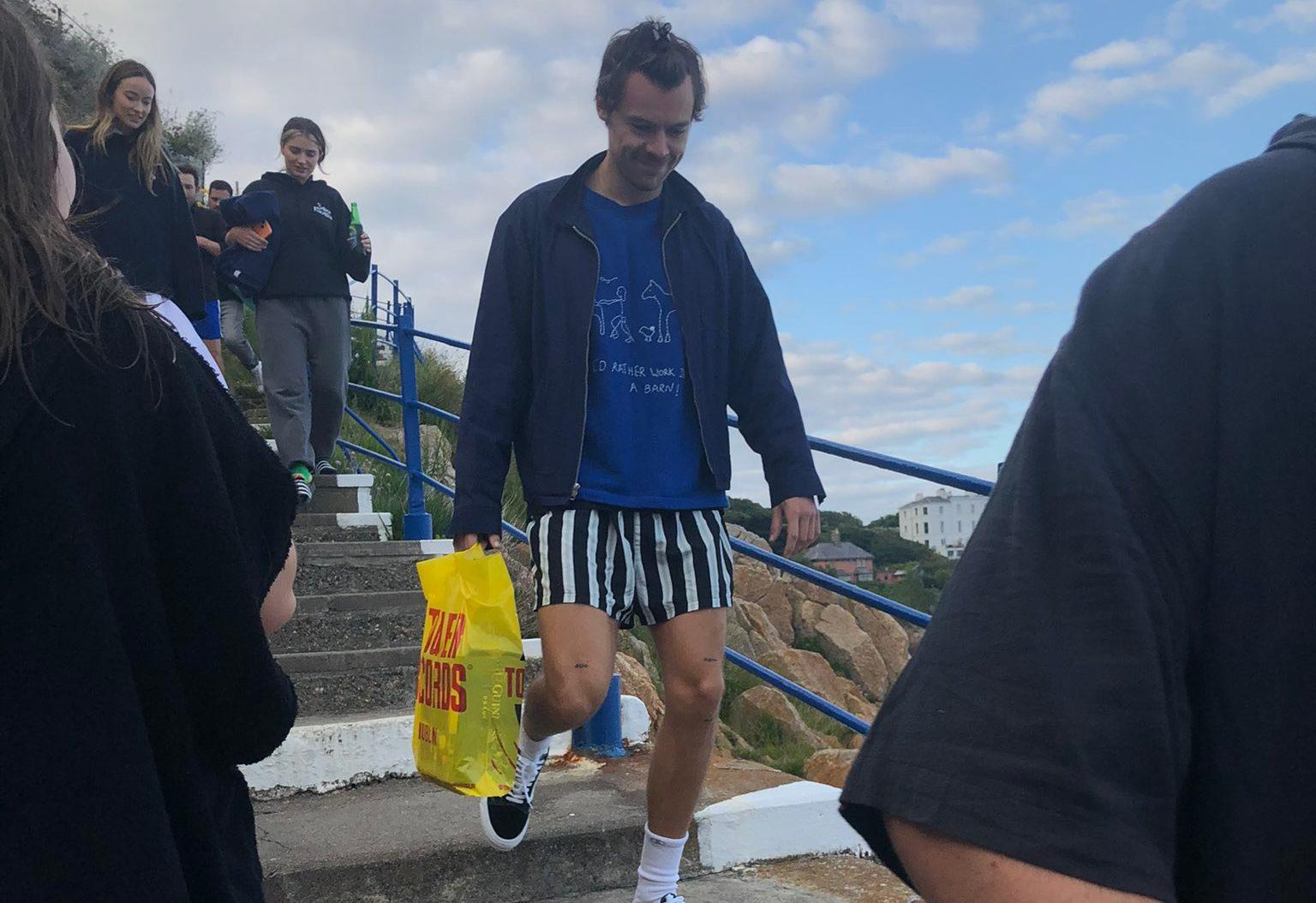 Want to study Harry Styles? You can now do a college course on him