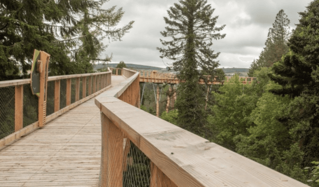 Get a 360-degree view of Wicklow at this new treetop walk and tower