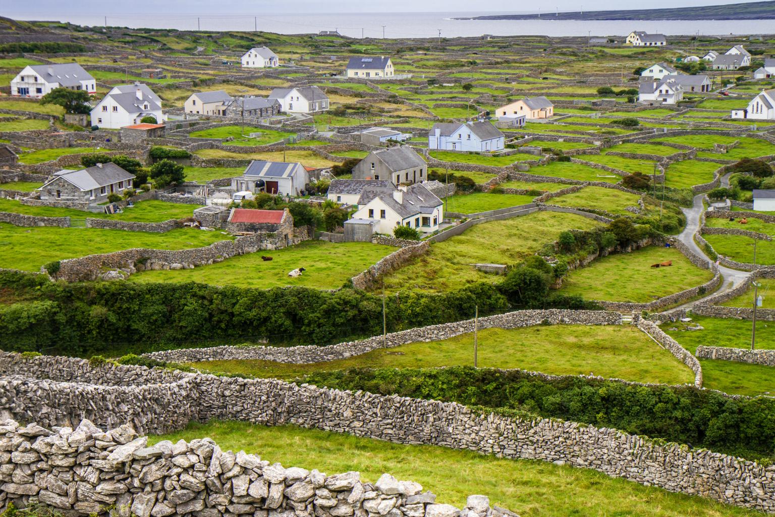 You and your family could live rent free on Inis Meáin for a year
