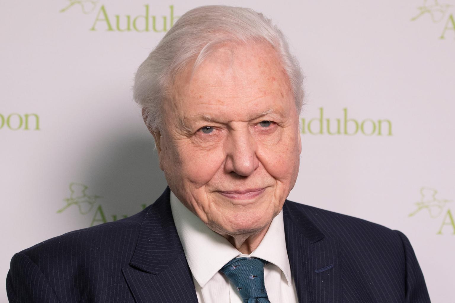 David Attenborough to film new nature documentary in Ireland