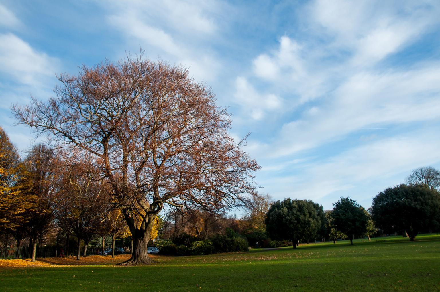 Ireland receives record-breaking number of Green Flag awards this year