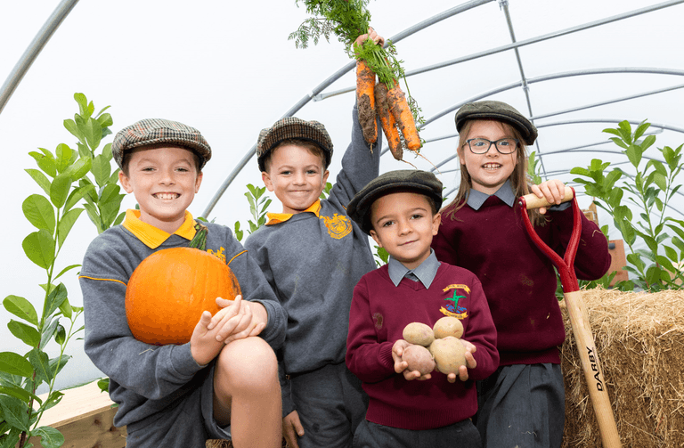 The Lidl Farm has officially opened to give free school tours