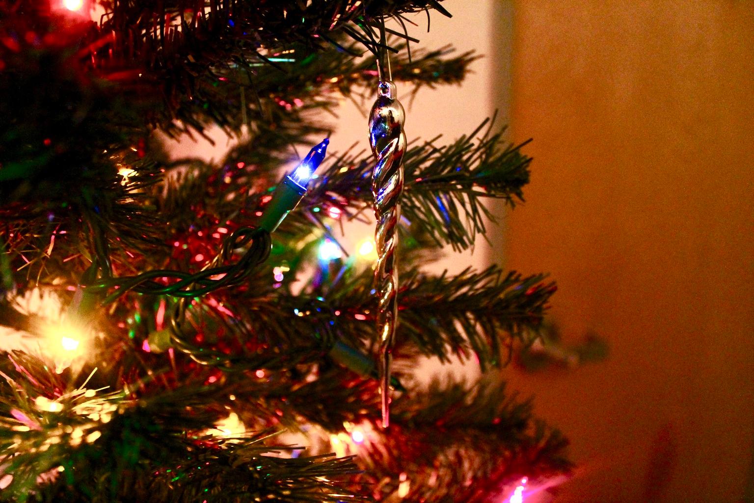 So these are apparently the dates you can put up your Christmas tree